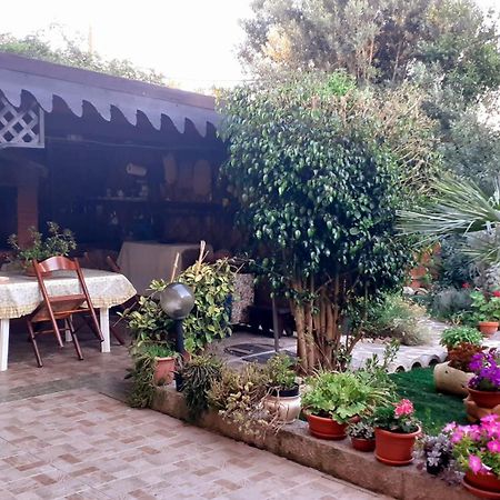 B&B Giomar Sardegna Nord Ovest Campanedda Eksteriør billede