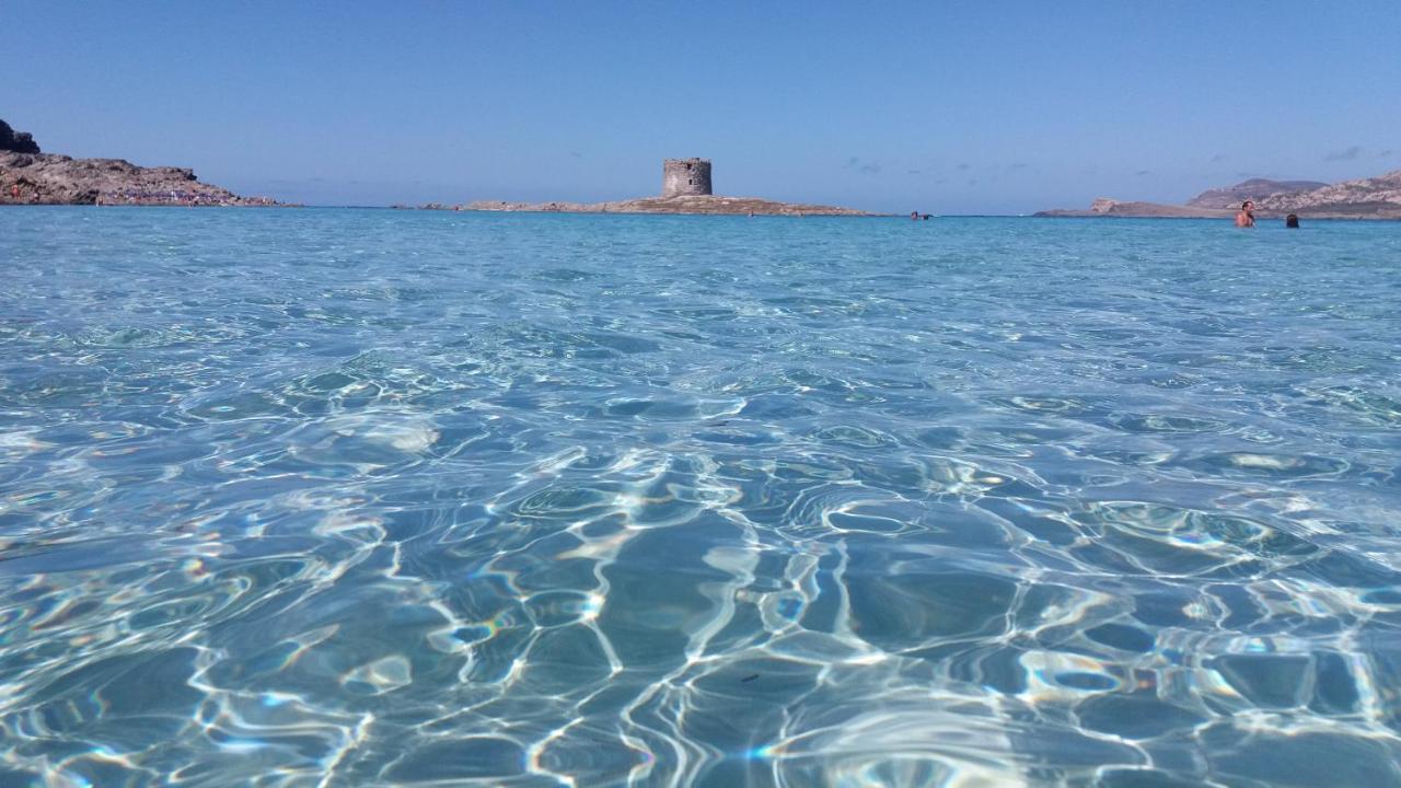 B&B Giomar Sardegna Nord Ovest Campanedda Eksteriør billede