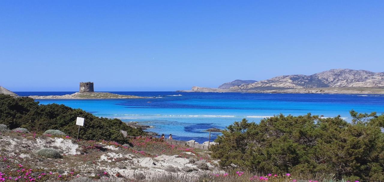 B&B Giomar Sardegna Nord Ovest Campanedda Eksteriør billede