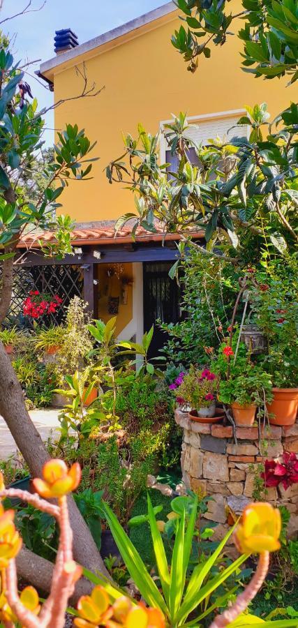 B&B Giomar Sardegna Nord Ovest Campanedda Eksteriør billede